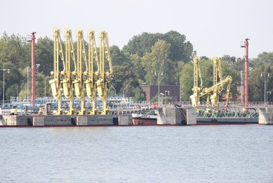 Image 498192465