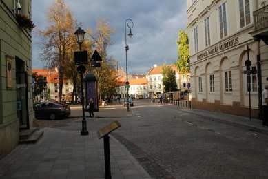 Image 498201009
