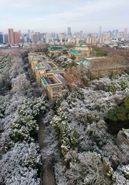 Image 498873731