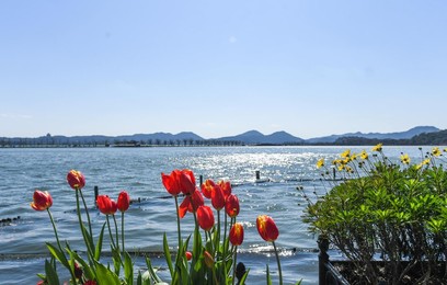 Image 499070531