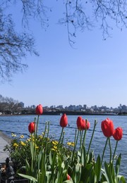 Image 499070552