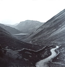 Image 500713936