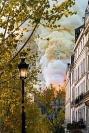 Image 501436261