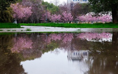 Image 502732988