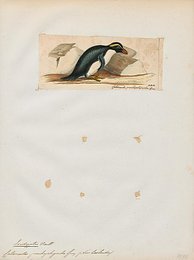 Image 509868149