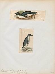 Image 509868651