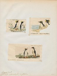 Image 509871806
