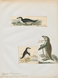 Image 509910860