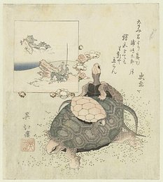 Image 510395955