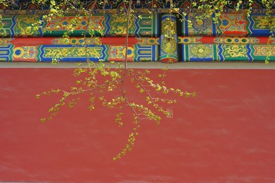 Image 512563861