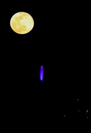Image 513079465