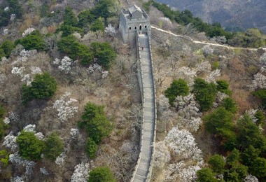 Image 513522215