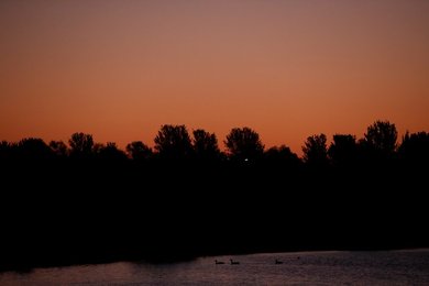 Image 514398066