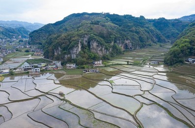 Image 516665277