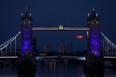 Image 517857190
