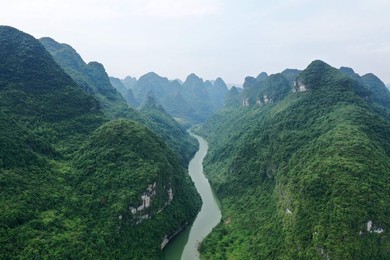 Image 528859254