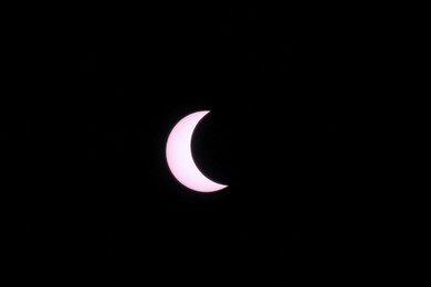 Image 534102005