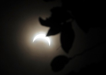 Image 534220101