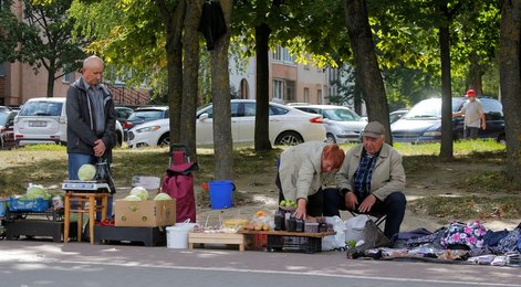 Image 550050438