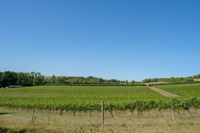 Image 552091838