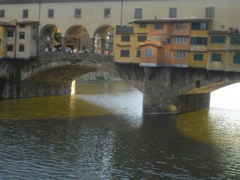Image 556833941