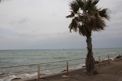 Image 556851990