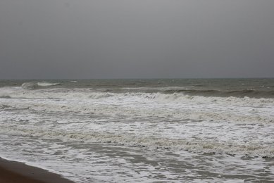 Image 556852004