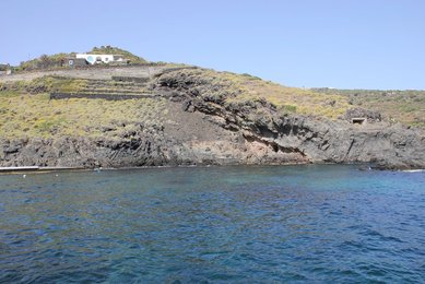 Image 556859316