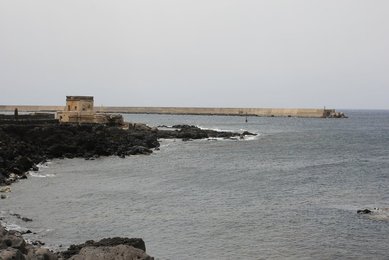 Image 556866272