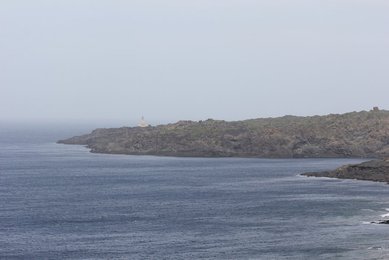 Image 556866579