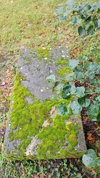 Image 557096952