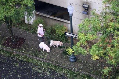 Image 558282724