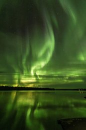 Image 560041845