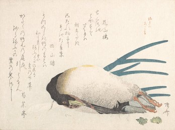 Image 560824521