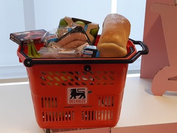 DELHAIZE HEALTHY FOOD DISCOUNT PROGRAM