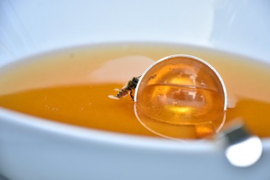 Healthy Food in Mexico