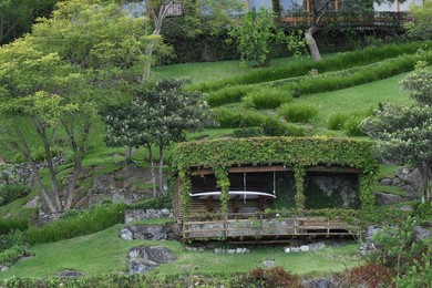 Image 564120816