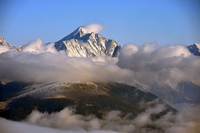 Image 564855918