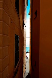Image 564858512