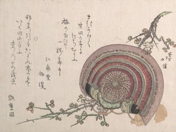 Image 566899613