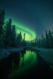 Image 584621623