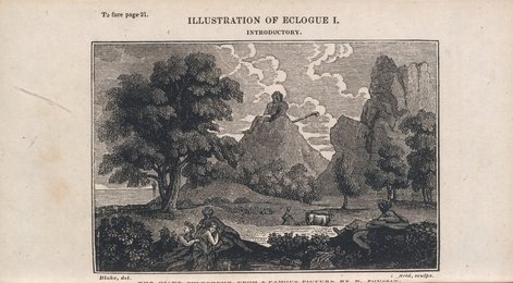 Image 598401979