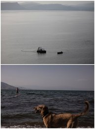 Image 602534149