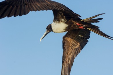 Peninsula de Yucatan