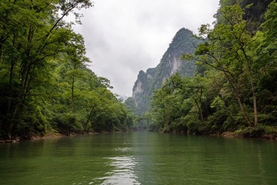 Image 612881976