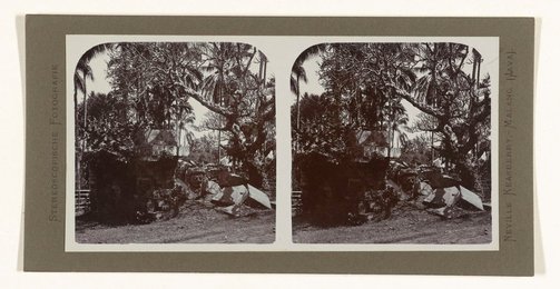 Image 614198543