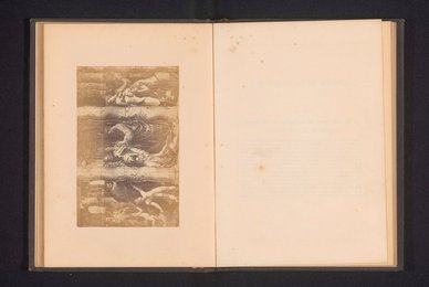 Image 614580638