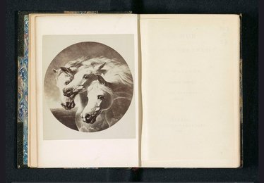 Image 614597127