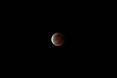 Image 616046153