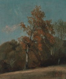 Study of an Ash Tree, 1801
